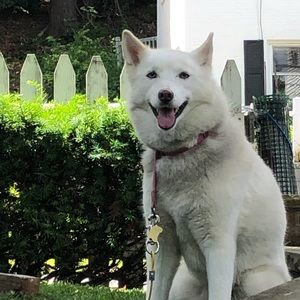 Meet your Posher, Kaylee